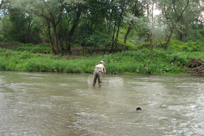 DSC03829_Zmenit velikost