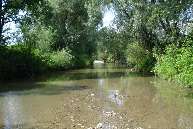 DSC03868_Zmenit velikost