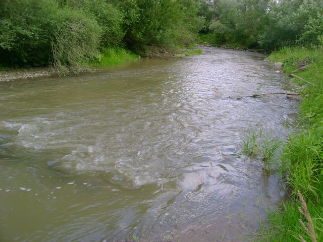 dsc08482
