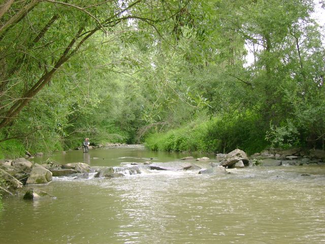 dsc08556