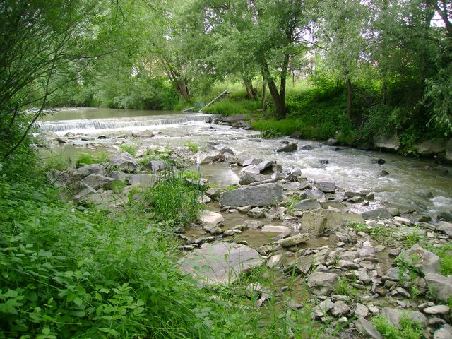 dsc08568
