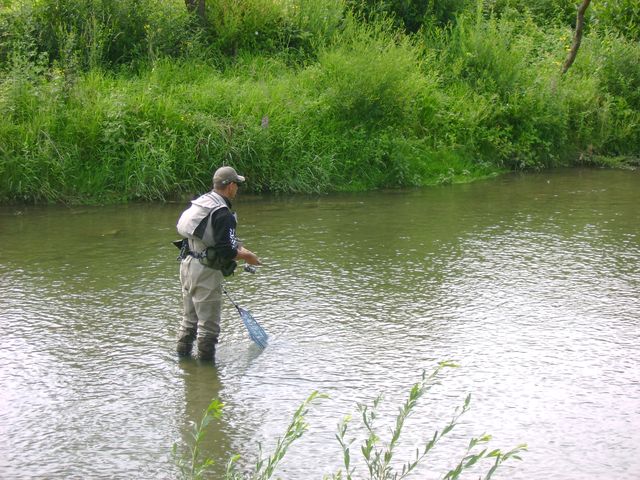 dsc08604