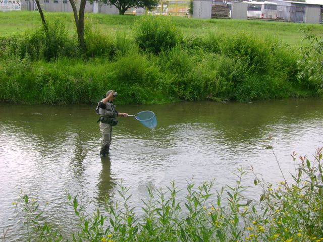 dsc08607