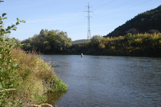 DSC04470_Zmenit velikost