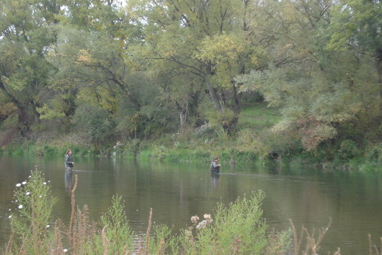 DSC04493_Zmenit velikost