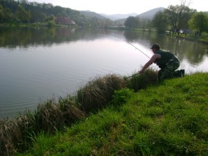 Obrázok